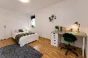 Bild 1.webp